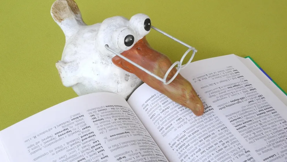 Ucz się czytając literaturę obcojęzyczną